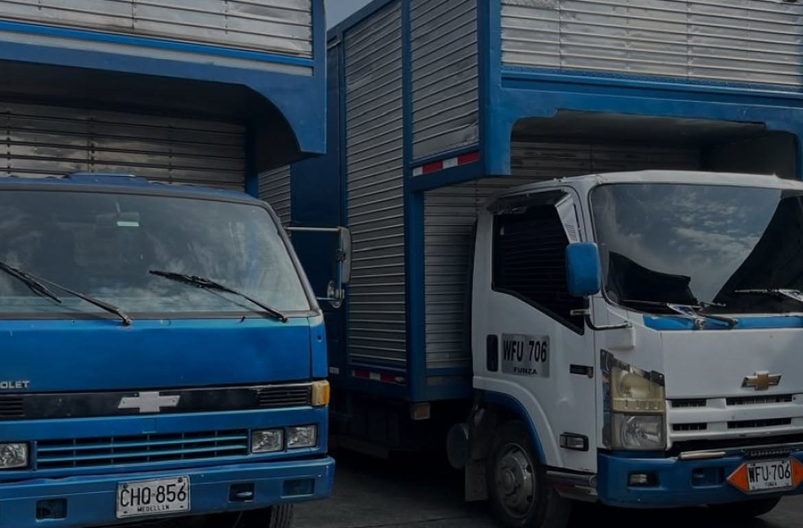 Camiones de Logientregas DL
